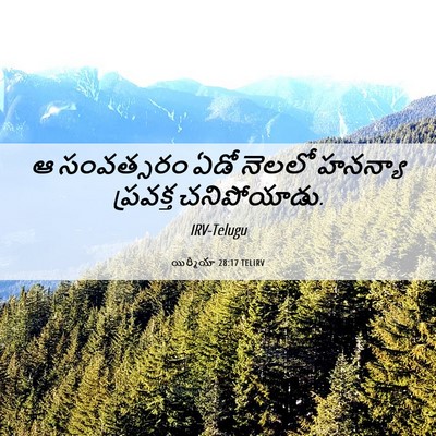 Picture 06 - యిర్మీయా 28:17 TELIRV - ఆ సంవత్సరం ఏడో - Bible Verse Picture
