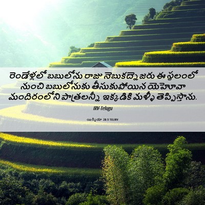 Picture 06 - యిర్మీయా 28:3 TELIRV - రెండేళ్లలో - Bible Verse Picture