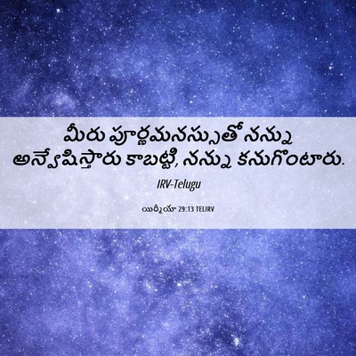 Picture 06 - యిర్మీయా 29:13 TELIRV - మీరు - Bible Verse Picture
