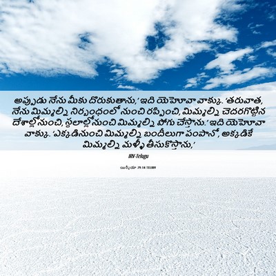 Picture 06 - యిర్మీయా 29:14 TELIRV - అప్పుడు నేను మీకు - Bible Verse Picture