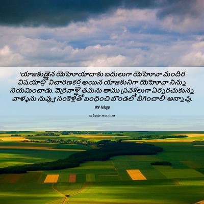 Picture 06 - యిర్మీయా 29:26 TELIRV - ‘యాజకుడైన - Bible Verse Picture
