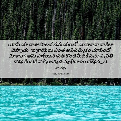 Picture 06 - యిర్మీయా 3:6 TELIRV - యోషీయా రాజు పాలన - Bible Verse Picture