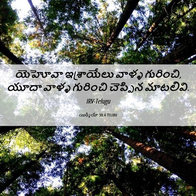 Picture 06 - యిర్మీయా 30:4 TELIRV - యెహోవా ఇశ్రాయేలు - Bible Verse Picture