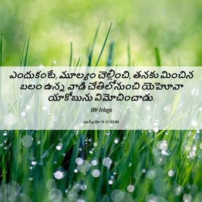 Picture 06 - యిర్మీయా 31:11 TELIRV - ఎందుకంటే, మూల్యం - Bible Verse Picture