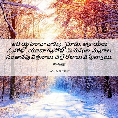 Picture 06 - యిర్మీయా 31:27 TELIRV - ఇది యెహోవా వాక్కు. - Bible Verse Picture