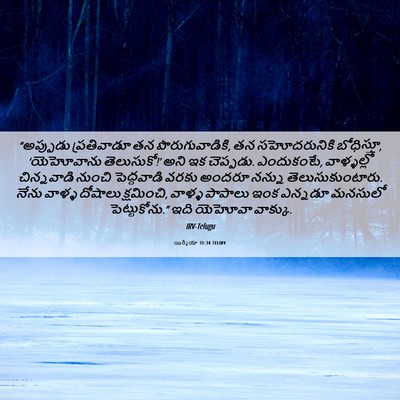 Picture 06 - యిర్మీయా 31:34 TELIRV - “అప్పుడు - Bible Verse Picture