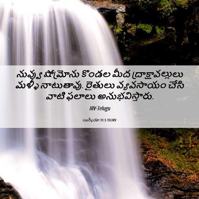 Picture 06 - యిర్మీయా 31:5 TELIRV - నువ్వు షోమ్రోను - Bible Verse Picture