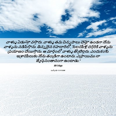 Picture 06 - యిర్మీయా 31:9 TELIRV - వాళ్ళు ఏడుస్తూ - Bible Verse Picture