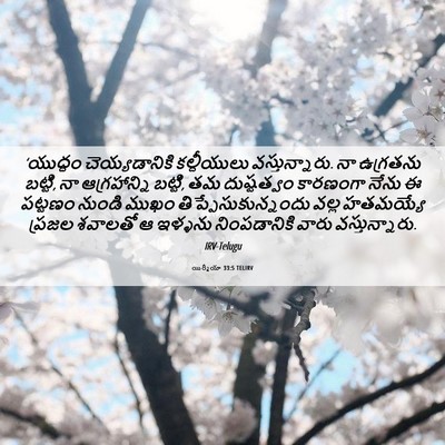 Picture 06 - యిర్మీయా 33:5 TELIRV - ‘యుద్ధం - Bible Verse Picture