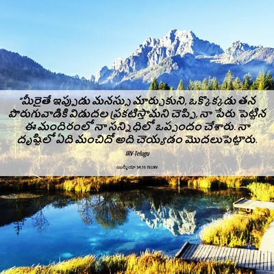 Picture 06 - యిర్మీయా 34:15 TELIRV - “మీరైతే ఇప్పుడు - Bible Verse Picture