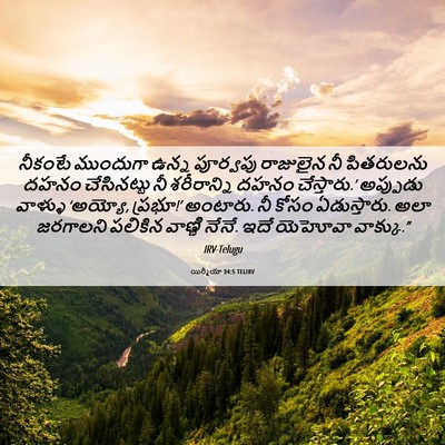 Picture 06 - యిర్మీయా 34:5 TELIRV - నీకంటే ముందుగా - Bible Verse Picture