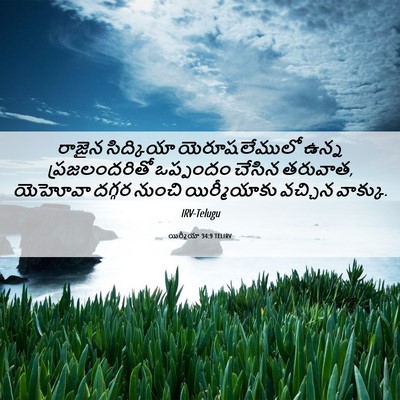 Picture 06 - యిర్మీయా 34:9 TELIRV - రాజైన సిద్కియా - Bible Verse Picture