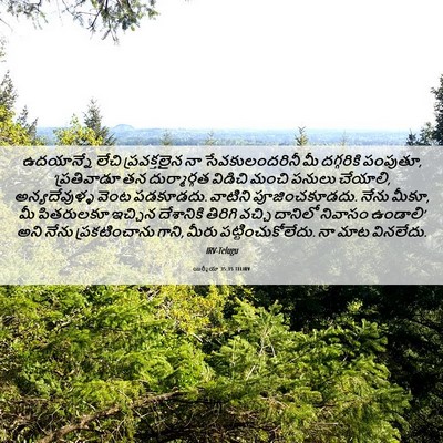 Picture 06 - యిర్మీయా 35:15 TELIRV - ఉదయాన్నే లేచి - Bible Verse Picture