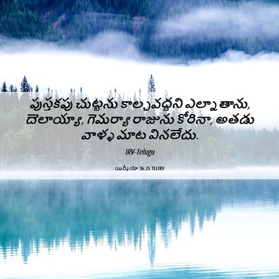 Picture 06 - యిర్మీయా 36:25 TELIRV - పుస్తకపు చుట్టను - Bible Verse Picture