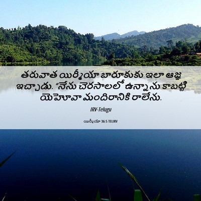 Picture 06 - యిర్మీయా 36:5 TELIRV - తరువాత యిర్మీయా - Bible Verse Picture