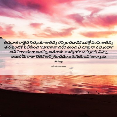 Picture 06 - యిర్మీయా 37:17 TELIRV - తరువాత రాజైన - Bible Verse Picture
