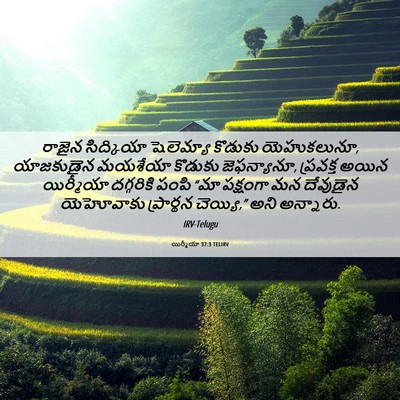 Picture 06 - యిర్మీయా 37:3 TELIRV - రాజైన సిద్కియా - Bible Verse Picture