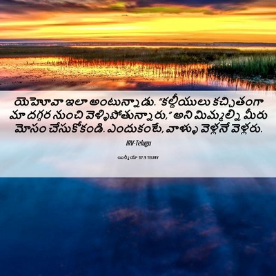 Picture 06 - యిర్మీయా 37:9 TELIRV - యెహోవా ఇలా - Bible Verse Picture