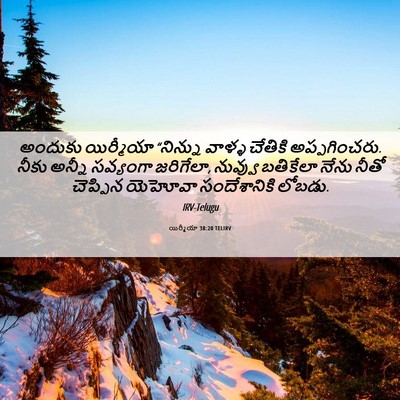 Picture 06 - యిర్మీయా 38:20 TELIRV - అందుకు యిర్మీయా - Bible Verse Picture