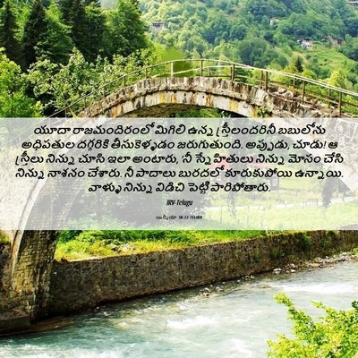 Picture 06 - యిర్మీయా 38:22 TELIRV - యూదా రాజమందిరంలో - Bible Verse Picture