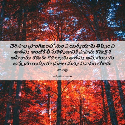 Picture 06 - యిర్మీయా 39:14 TELIRV - చెరసాల ప్రాంగణంలో - Bible Verse Picture
