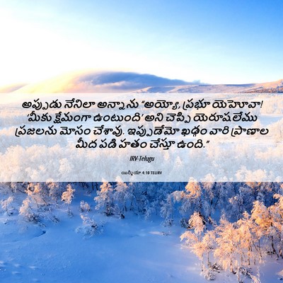 Picture 06 - యిర్మీయా 4:10 TELIRV - అప్పుడు నేనిలా - Bible Verse Picture