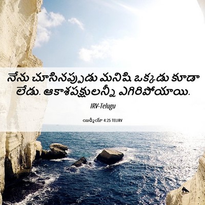 Picture 06 - యిర్మీయా 4:25 TELIRV - నేను చూసినప్పుడు - Bible Verse Picture