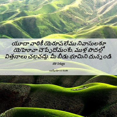 Picture 06 - యిర్మీయా 4:3 TELIRV - యూదా వారికీ - Bible Verse Picture