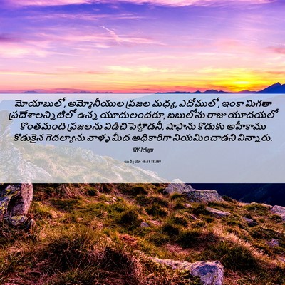Picture 06 - యిర్మీయా 40:11 TELIRV - మోయాబులో, - Bible Verse Picture