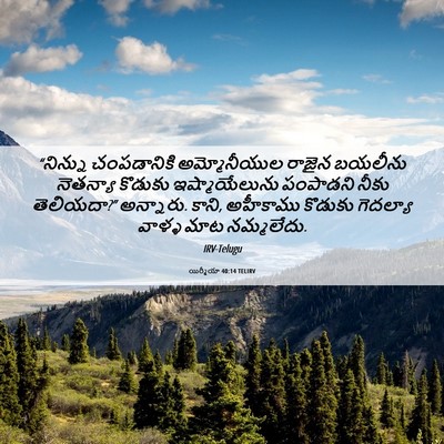 Picture 06 - యిర్మీయా 40:14 TELIRV - “నిన్ను చంపడానికి - Bible Verse Picture