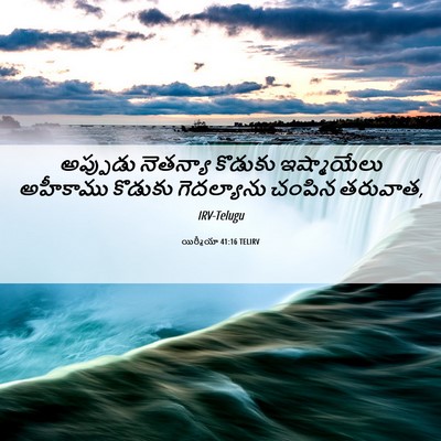 Picture 06 - యిర్మీయా 41:16 TELIRV - అప్పుడు నెతన్యా - Bible Verse Picture