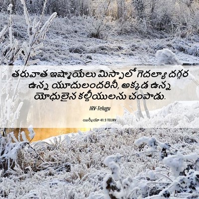 Picture 06 - యిర్మీయా 41:3 TELIRV - తరువాత ఇష్మాయేలు - Bible Verse Picture