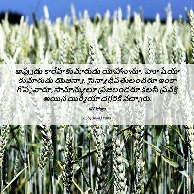 Picture 06 - యిర్మీయా 42:1 TELIRV - అప్పుడు కారేహ - Bible Verse Picture