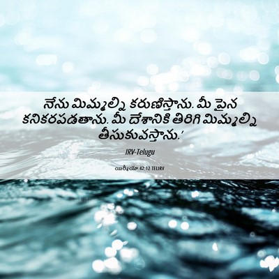 Picture 06 - యిర్మీయా 42:12 TELIRV - నేను మిమ్మల్ని - Bible Verse Picture