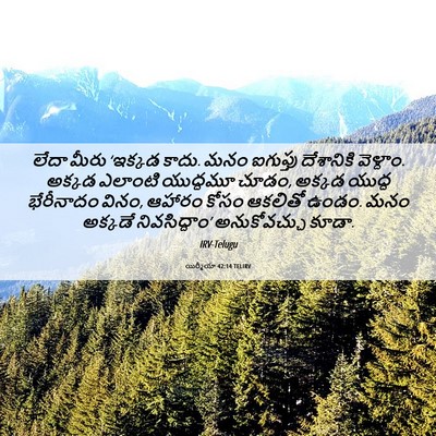 Picture 06 - యిర్మీయా 42:14 TELIRV - లేదా మీరు ‘ఇక్కడ - Bible Verse Picture