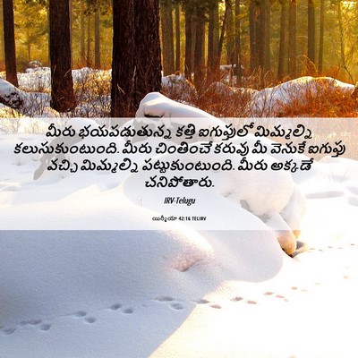 Picture 06 - యిర్మీయా 42:16 TELIRV - మీరు భయపడుతున్న - Bible Verse Picture