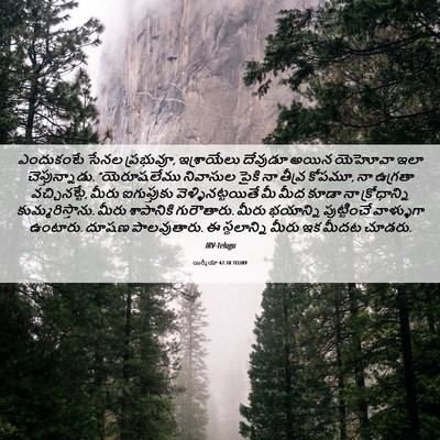 Picture 06 - యిర్మీయా 42:18 TELIRV - ఎందుకంటే సేనల - Bible Verse Picture
