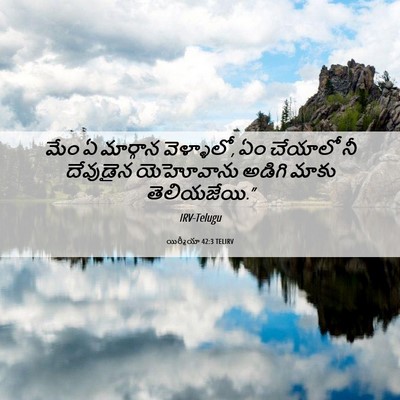 Picture 06 - యిర్మీయా 42:3 TELIRV - మేం ఏ మార్గాన - Bible Verse Picture