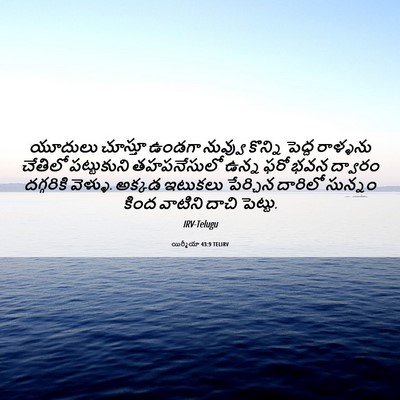 Picture 06 - యిర్మీయా 43:9 TELIRV - యూదులు చూస్తూ - Bible Verse Picture