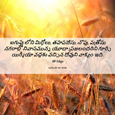 Picture 06 - యిర్మీయా 44:1 TELIRV - ఐగుప్తు లోని - Bible Verse Picture