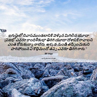 Picture 06 - యిర్మీయా 44:14 TELIRV - ఐగుప్తులో - Bible Verse Picture
