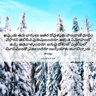 Picture 06 - యిర్మీయా 44:15 TELIRV - అప్పుడు తమ - Bible Verse Picture