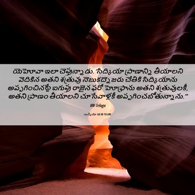 Picture 06 - యిర్మీయా 44:30 TELIRV - యెహోవా ఇలా - Bible Verse Picture