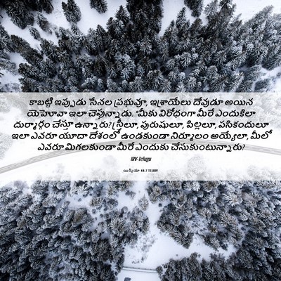 Picture 06 - యిర్మీయా 44:7 TELIRV - కాబట్టి ఇప్పుడు - Bible Verse Picture