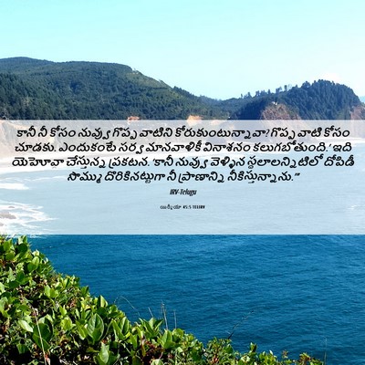 Picture 06 - యిర్మీయా 45:5 TELIRV - కానీ నీ కోసం - Bible Verse Picture