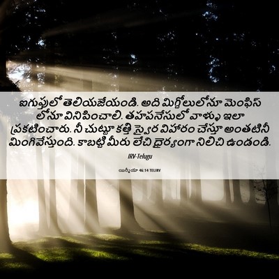 Picture 06 - యిర్మీయా 46:14 TELIRV - ఐగుప్తులో - Bible Verse Picture