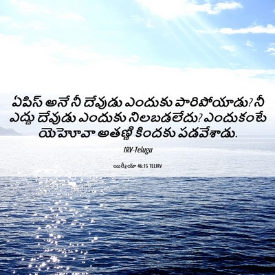 Picture 06 - యిర్మీయా 46:15 TELIRV - ఏపిస్ అనే నీ - Bible Verse Picture