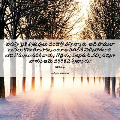 Picture 06 - యిర్మీయా 46:22 TELIRV - ఐగుప్తు పైకి - Bible Verse Picture