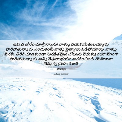 Picture 06 - యిర్మీయా 46:5 TELIRV - ఇక్కడ నేనేం - Bible Verse Picture