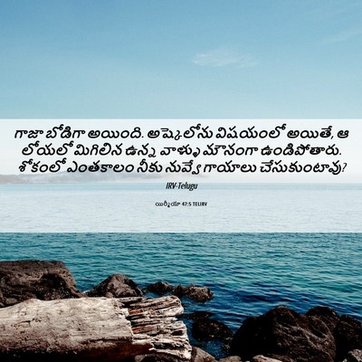 Picture 06 - యిర్మీయా 47:5 TELIRV - గాజా బోడిగా - Bible Verse Picture